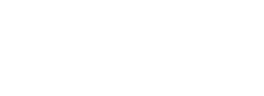 Swedish Energy Agency logo white