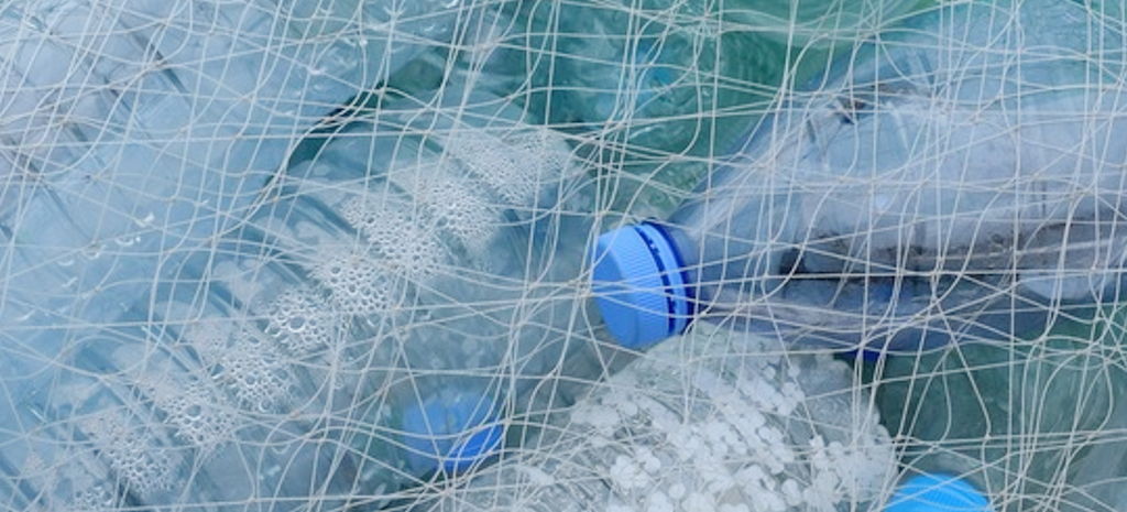 Plastic bottles in a net.